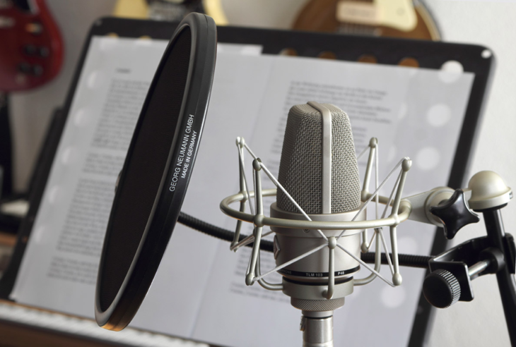 Neumann TLM 103 Studio Set - Large Diaphragm Condenser Microphone | Ideal for Professional Studio recording | Home Studio | FM Broadcast | Voice Over